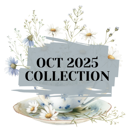 Daisies | October 2025