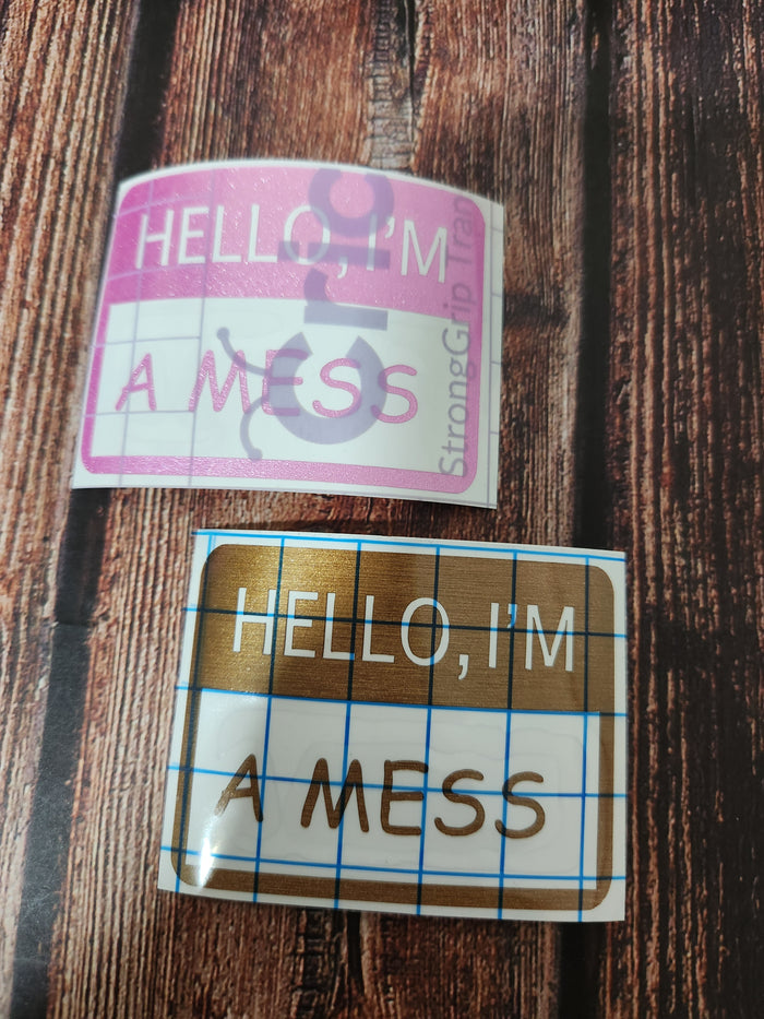 Hello, I'm A Mess| Vinyl