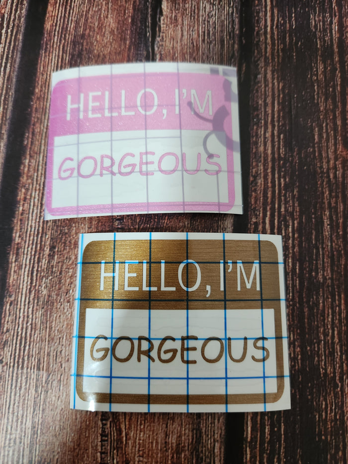 Hello, I'm Gorgeous| Vinyl