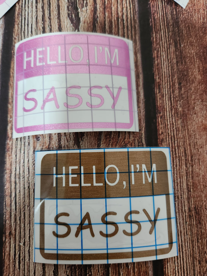 Hello, I'm Sassy| Vinyl