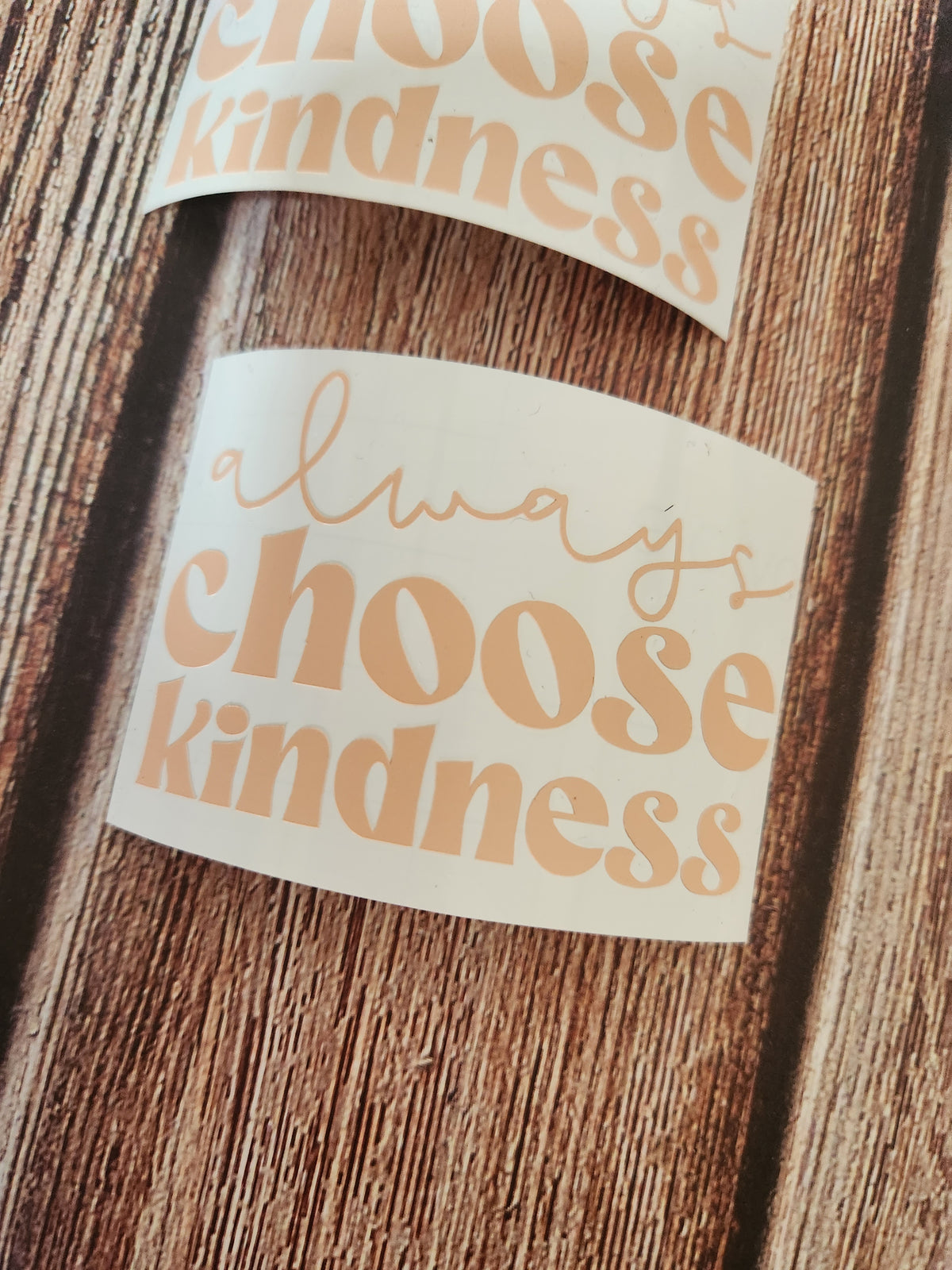 Alwayd Choose Kindness | Vinyl