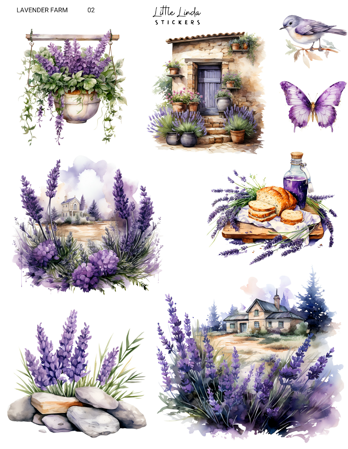 Lavender Farm | 01 - 02