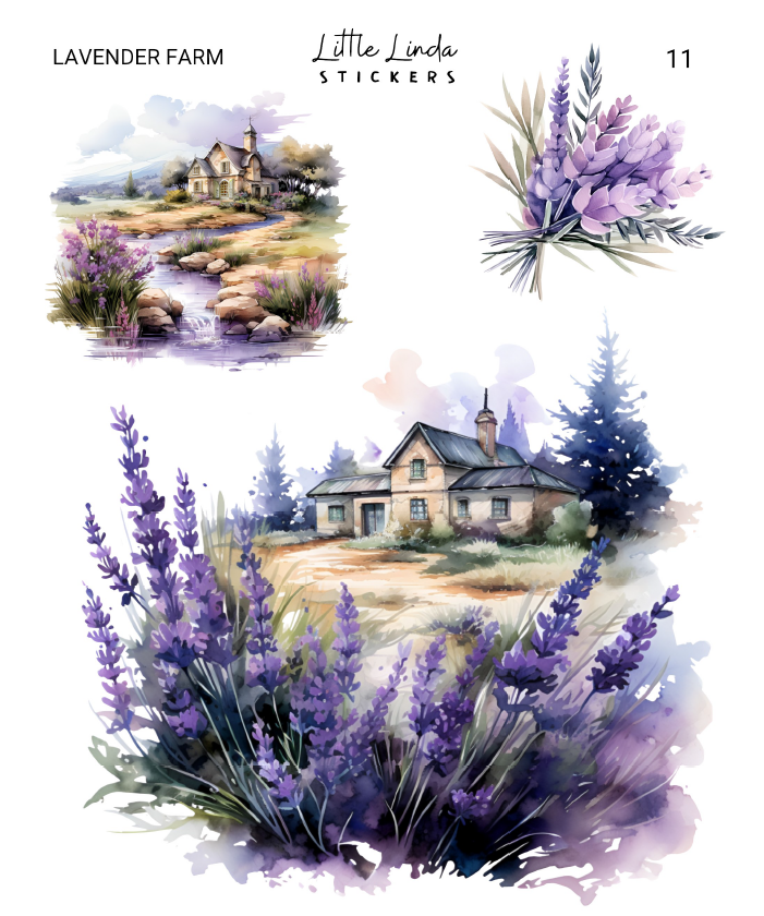 Lavender Farm | 09 - 12