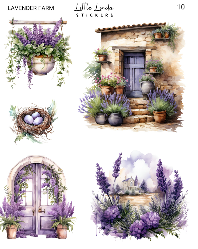 Lavender Farm | 09 - 12