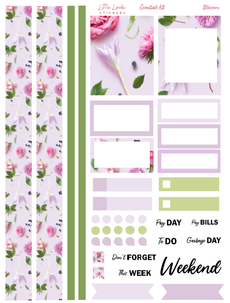Blossom - Essentials Kit